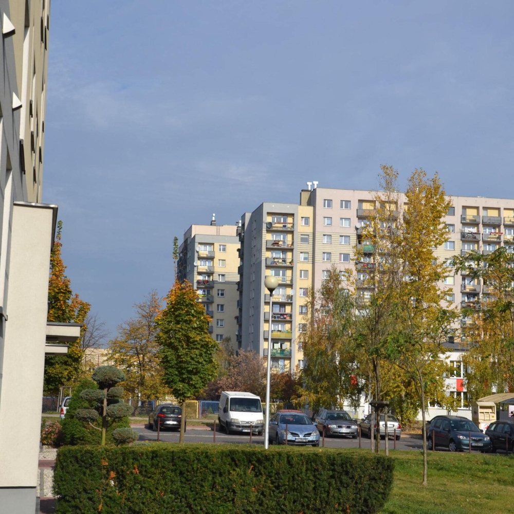 DSC_0180-min