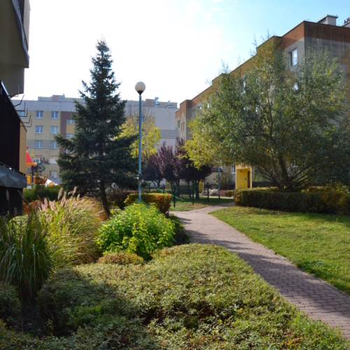 DSC_0190-min